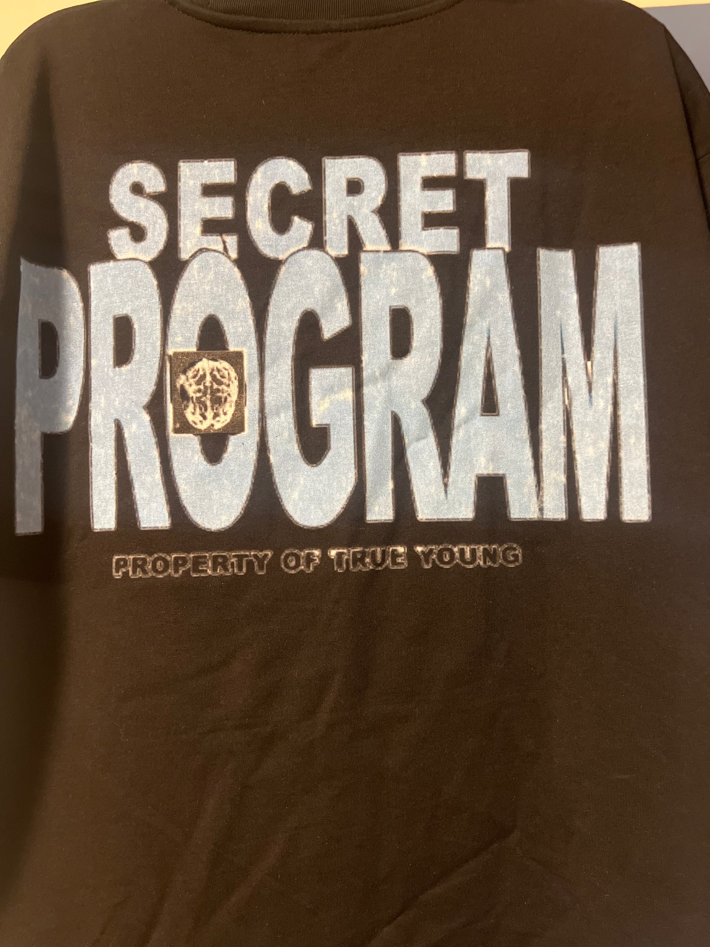 Secret Program Tee